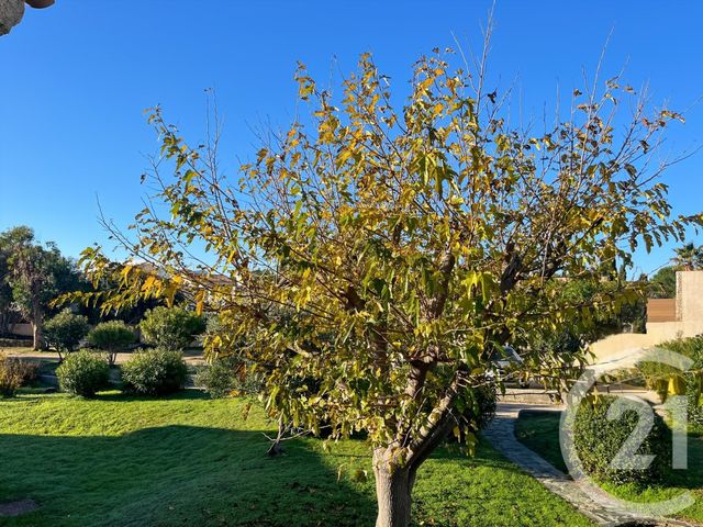 Appartement F2 bis &agrave; vendre - 3 pi&egrave;ces - 43,81 m2 - Lumio - 202 - CORSE