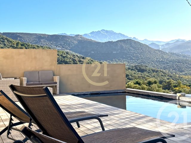 Maison à vendre - 6 pièces - 129,58 m2 - Corbara - 202 - CORSE
