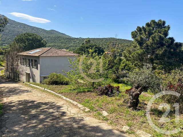 Maison &agrave; vendre - 5 pi&egrave;ces - 122,68 m2 - Santa Reparata Di Balagna - 202 - CORSE