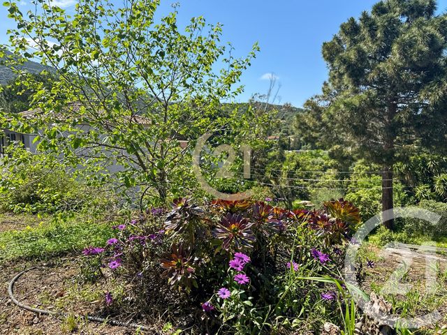 Maison &agrave; vendre - 5 pi&egrave;ces - 122,68 m2 - Santa Reparata Di Balagna - 202 - CORSE