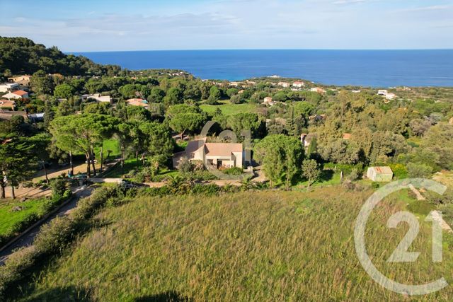 Terrain &agrave; vendre - 2027 m2 - Corbara - 202 - CORSE