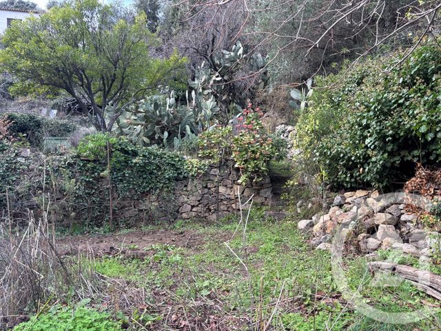 Terrain &agrave; vendre - 585 m2 - Occhiatana - 202 - CORSE