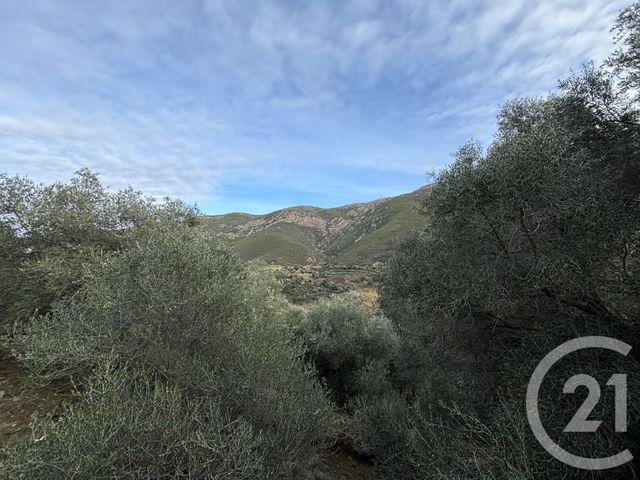 Terrain &agrave; vendre - 585 m2 - Occhiatana - 202 - CORSE