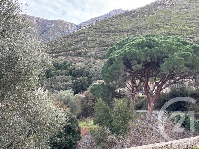 Terrain &agrave; vendre - 585 m2 - Occhiatana - 202 - CORSE