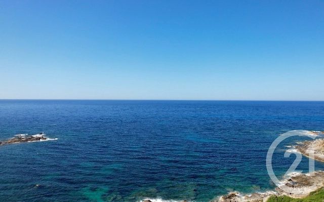 Maison &agrave; vendre - 6 pi&egrave;ces - 254 m2 - Corbara - 202 - CORSE