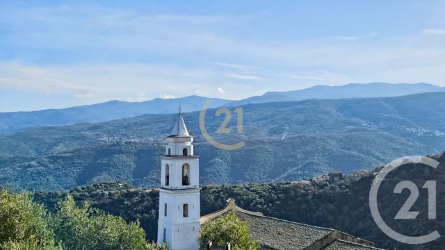 Maison &agrave; vendre - 8 pi&egrave;ces - 272,04 m2 - Santo Pietro Di Tenda - 202 - CORSE