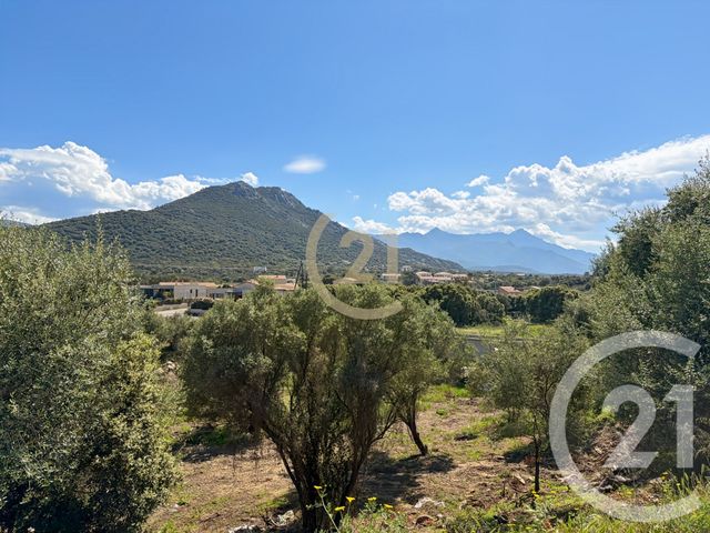 Appartement T2 &agrave; vendre - 2 pi&egrave;ces - 49,88 m2 - Belgodere - 202 - CORSE