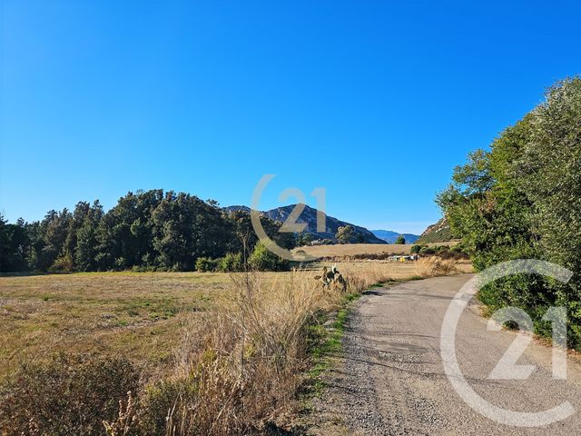 Appartement T2 &agrave; vendre - 2 pi&egrave;ces - 40,69 m2 - Patrimonio - 202 - CORSE