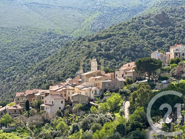 Maison &agrave; vendre - 2 pi&egrave;ces - 52,43 m2 - Palasca - 202 - CORSE