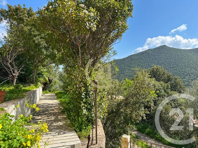 Maison &agrave; vendre - 2 pi&egrave;ces - 52,43 m2 - Palasca - 202 - CORSE