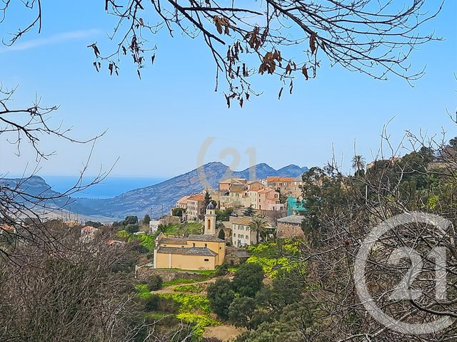 Maison &agrave; vendre - 3 pi&egrave;ces - 38,94 m2 - Oletta - 202 - CORSE