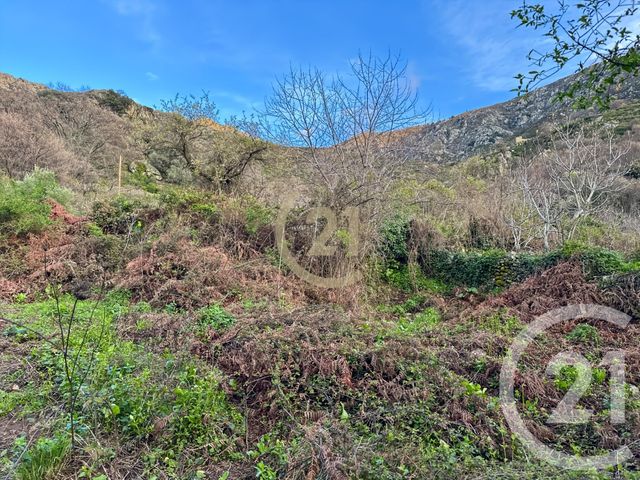 Terrain &agrave; vendre - 1822 m2 - Ville Di Paraso - 202 - CORSE