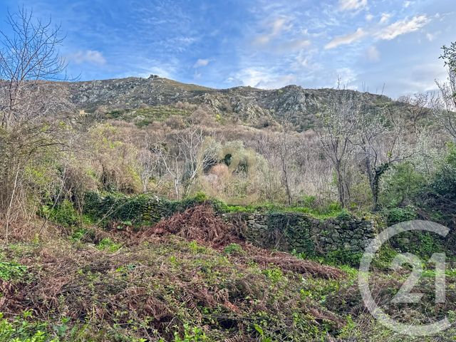 Terrain &agrave; vendre - 1822 m2 - Ville Di Paraso - 202 - CORSE