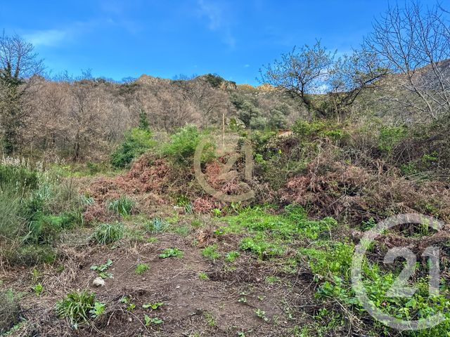 Terrain &agrave; vendre - 1822 m2 - Ville Di Paraso - 202 - CORSE