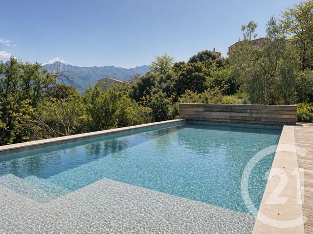 maison - SANTA REPARATA DI BALAGNA - 202