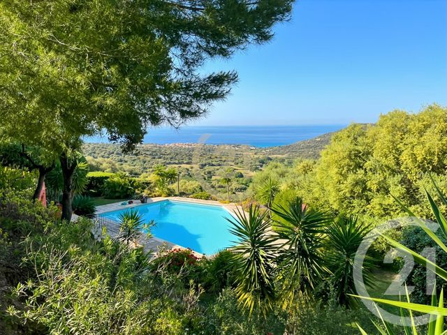 Maison &agrave; vendre - 8 pi&egrave;ces - 242,28 m2 - Monticello - 202 - CORSE