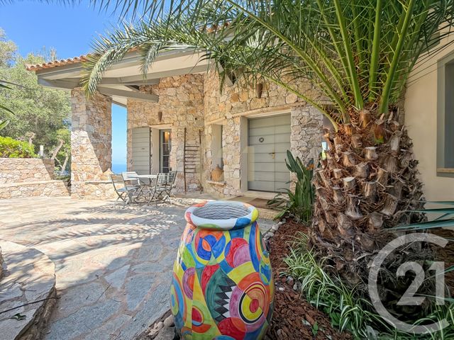 Maison &agrave; vendre - 8 pi&egrave;ces - 242,28 m2 - Monticello - 202 - CORSE
