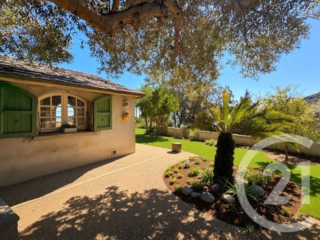 maison - SAN MARTINO DI LOTA - 202