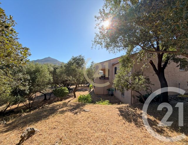 Maison &agrave; vendre - 5 pi&egrave;ces - 138,75 m2 - Monticello - 202 - CORSE