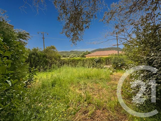 Maison &agrave; vendre - 3 pi&egrave;ces - 40,08 m2 - Oletta - 202 - CORSE