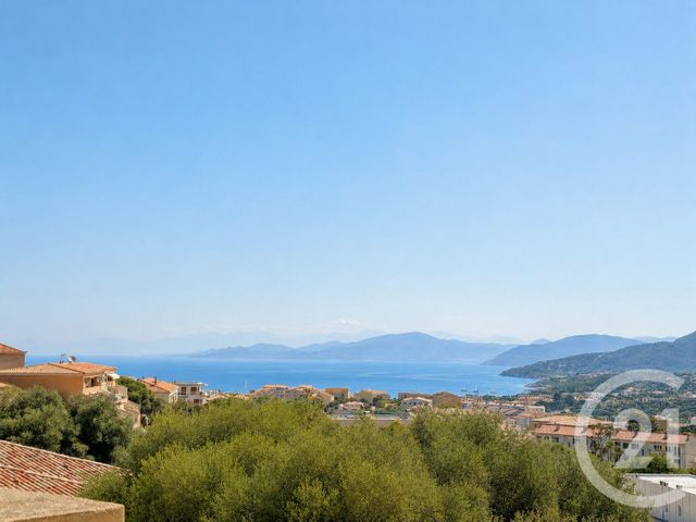 appartement - L ILE ROUSSE - 202