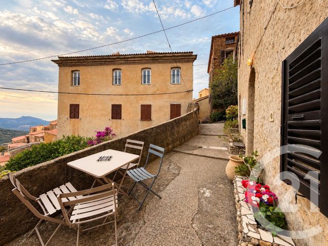 appartement - BELGODERE - 202