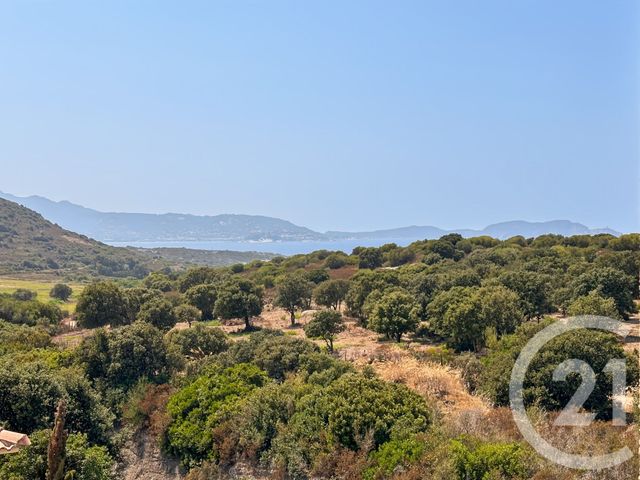 Appartement F3 bis &agrave; vendre - 3 pi&egrave;ces - 66,26 m2 - Lumio - 202 - CORSE