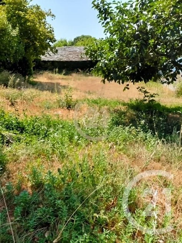 terrain - SCOLCA - 202