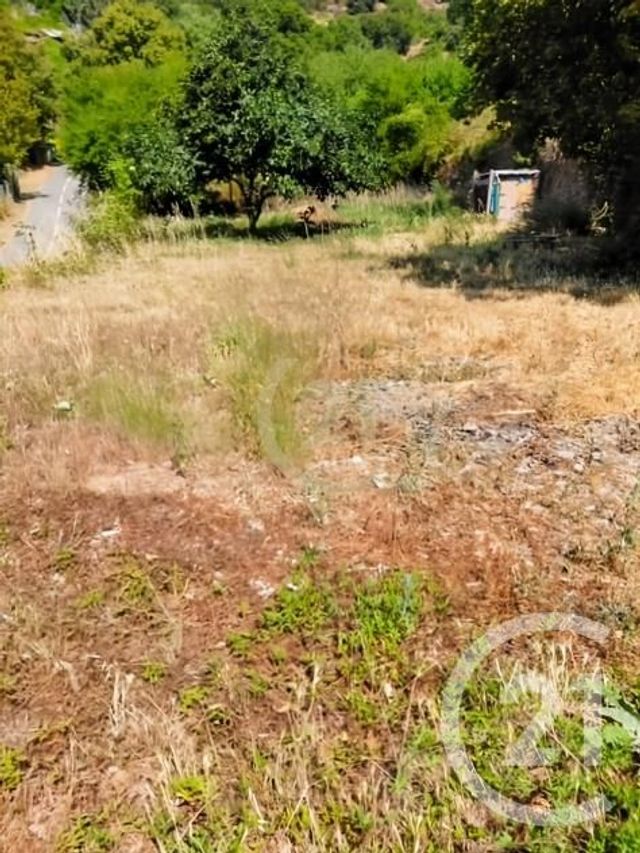 Terrain &agrave; vendre - 560 m2 - Scolca - 202 - CORSE