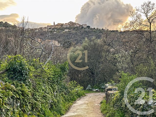 Terrain &agrave; vendre - 407 m2 - Ville Di Paraso - 202 - CORSE