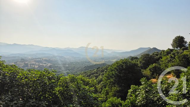 Maison &agrave; vendre - 4 pi&egrave;ces - 280 m2 - Oletta - 202 - CORSE