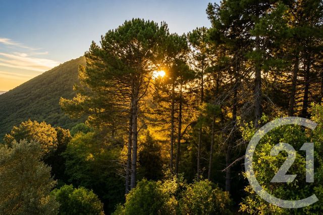 Maison &agrave; vendre - 9 pi&egrave;ces - 262,24 m2 - San Martino Di Lota - 202 - CORSE