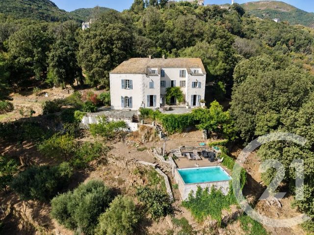 Maison &agrave; vendre - 9 pi&egrave;ces - 262,24 m2 - San Martino Di Lota - 202 - CORSE