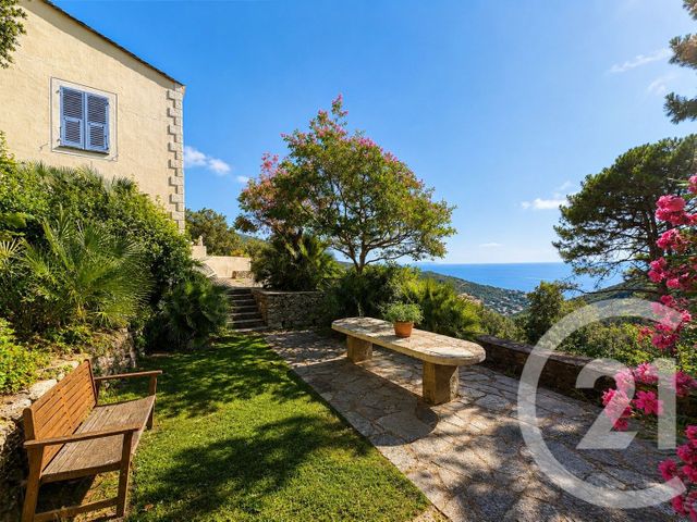 Maison &agrave; vendre - 9 pi&egrave;ces - 262,24 m2 - San Martino Di Lota - 202 - CORSE