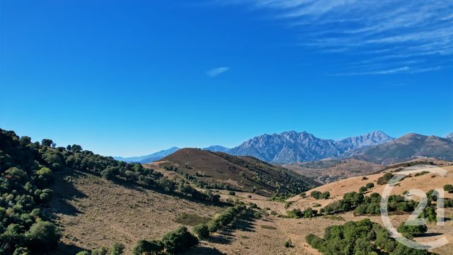 Maison &agrave; vendre - 9 pi&egrave;ces - 216,47 m2 - Pietralba - 202 - CORSE