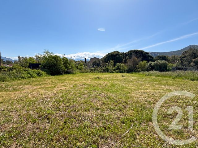 Terrain &agrave; vendre - 1021 m2 - Calvi - 202 - CORSE