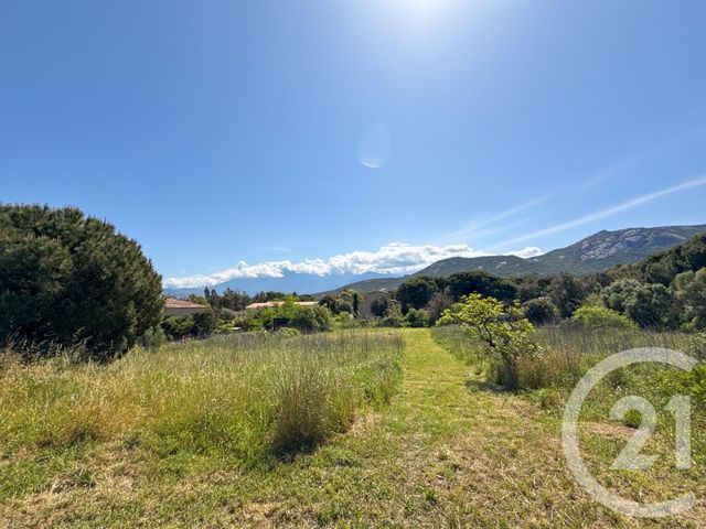 Terrain &agrave; vendre - 1021 m2 - Calvi - 202 - CORSE