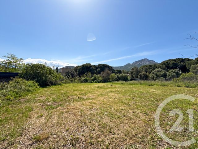 Terrain &agrave; vendre - 1021 m2 - Calvi - 202 - CORSE