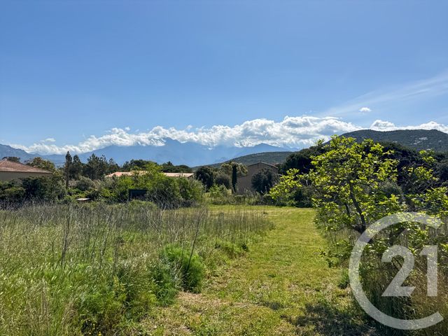 Terrain &agrave; vendre - 1021 m2 - Calvi - 202 - CORSE