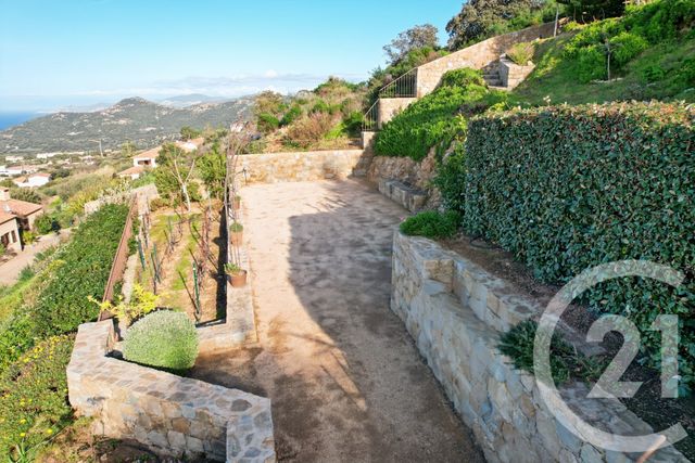 Maison &agrave; vendre - 6 pi&egrave;ces - 315 m2 - Monticello - 202 - CORSE