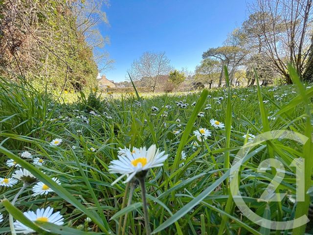 Maison à vendre - 8 pièces - 158 m2 - Arradon - 56 - BRETAGNE