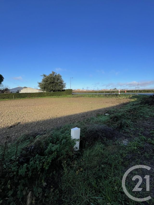 Terrain à vendre - 521 m2 - Longeville Sur Mer - 85 - PAYS-DE-LOIRE