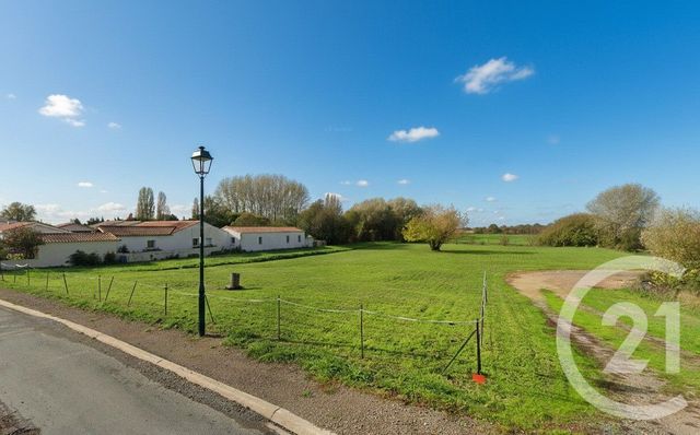 terrain - ST MICHEL EN L HERM - 85