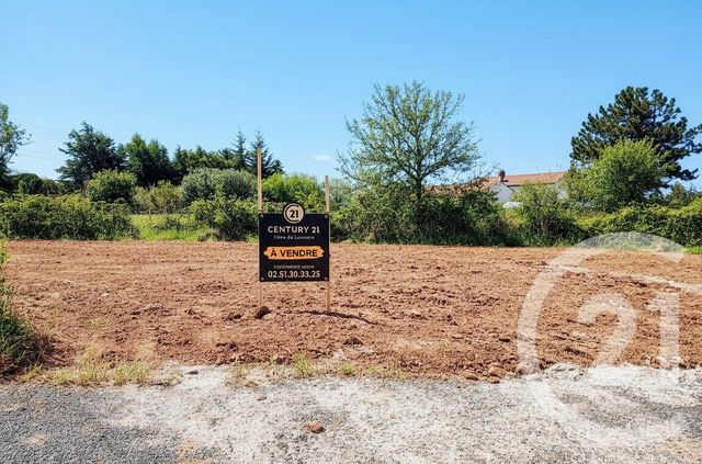 terrain - LA JONCHERE - 85