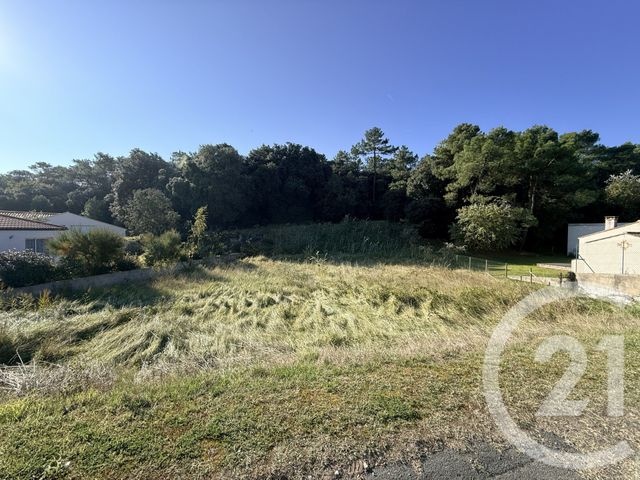 terrain - LA TRANCHE SUR MER - 85