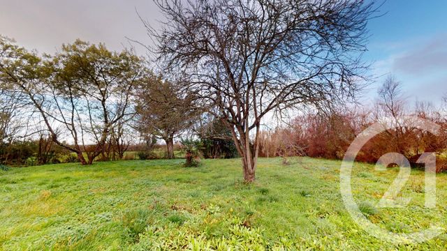 Maison &agrave; vendre - 4 pi&egrave;ces - 76,14 m2 - Grues - 85 - PAYS-DE-LOIRE