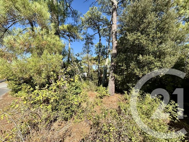 Terrain &agrave; vendre - 401 m2 - La Tranche Sur Mer - 85 - PAYS-DE-LOIRE