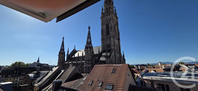 Appartement F1 &agrave; louer - 1 pi&egrave;ce - 32,67 m2 - Mulhouse - 68 - ALSACE