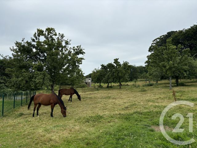 Maison à vendre - 5 pièces - 187 m2 - Chanu - 61 - BASSE-NORMANDIE