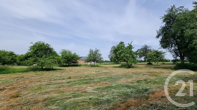 Maison &agrave; vendre - 7 pi&egrave;ces - 138 m2 - Lonlay L Abbaye - 61 - BASSE-NORMANDIE